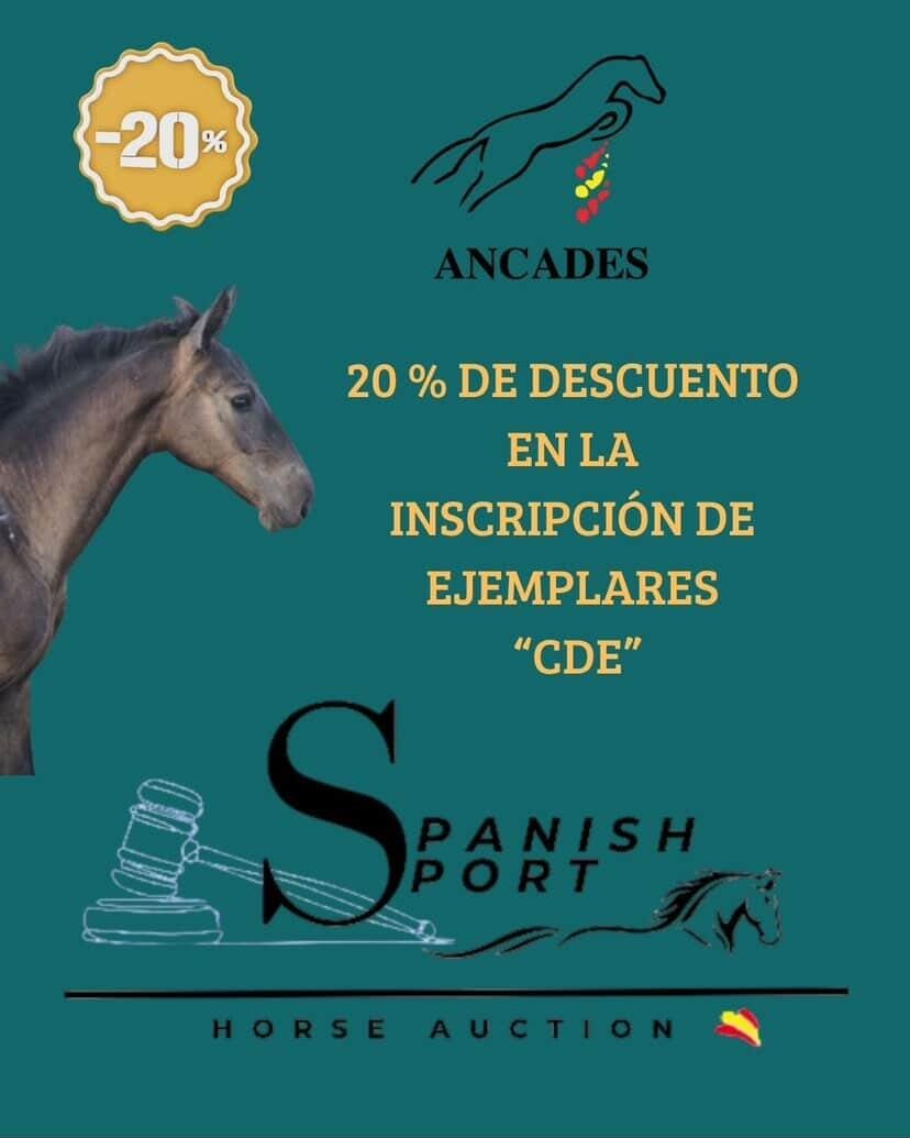 Descuento para los CDE en la próxima Spanish Sport Horse Aution