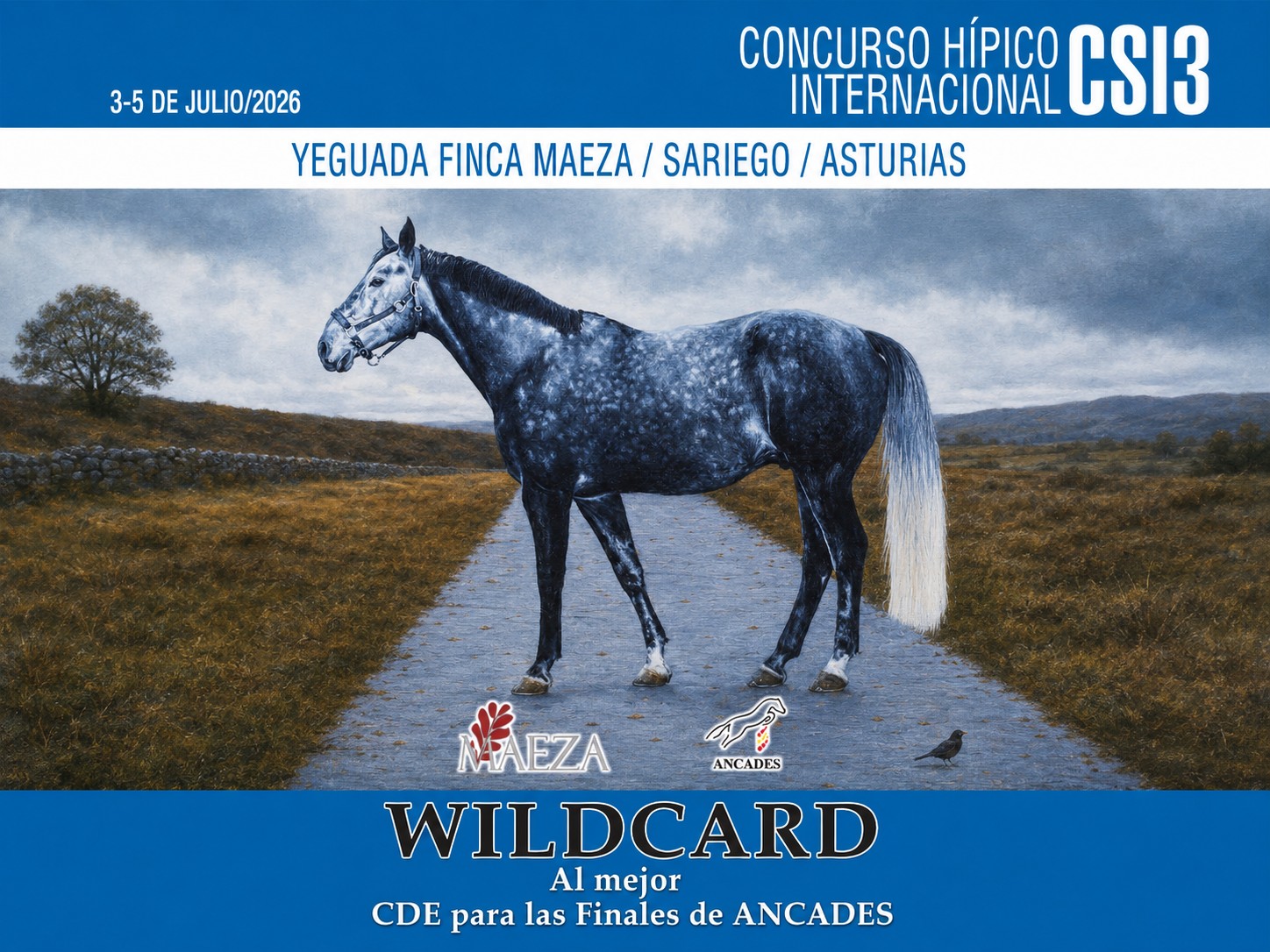 Wildcard al mejor CDE en el Gran Premio del CSI3* Maeza