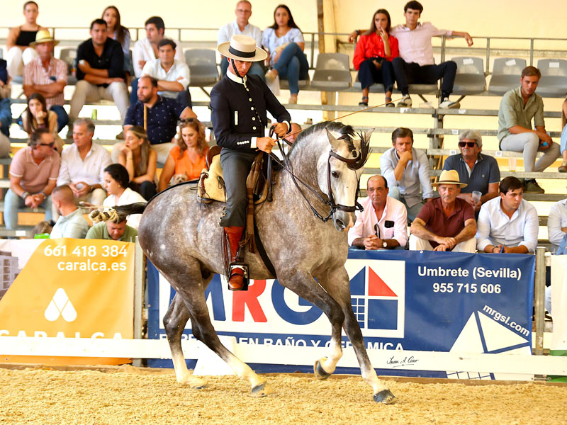 Cinco medallas para el CDE en el Cto. de Andalucía de Doma Vaquera de Caballos Jóvenes