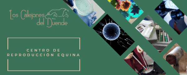 Los Callejones del Duende